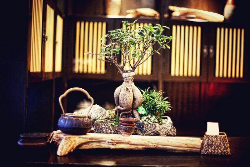 Ningbo Zhengfang Inn Buitenkant foto